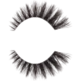 5309580-mvb