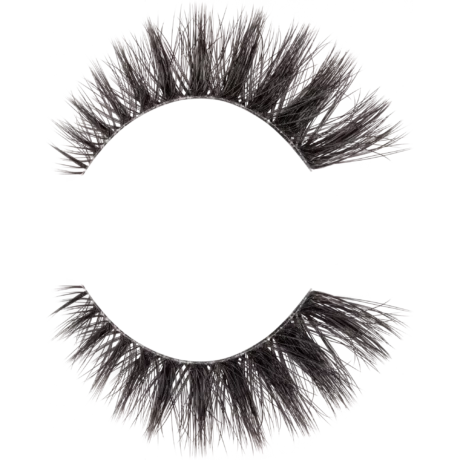 5309580-mvb