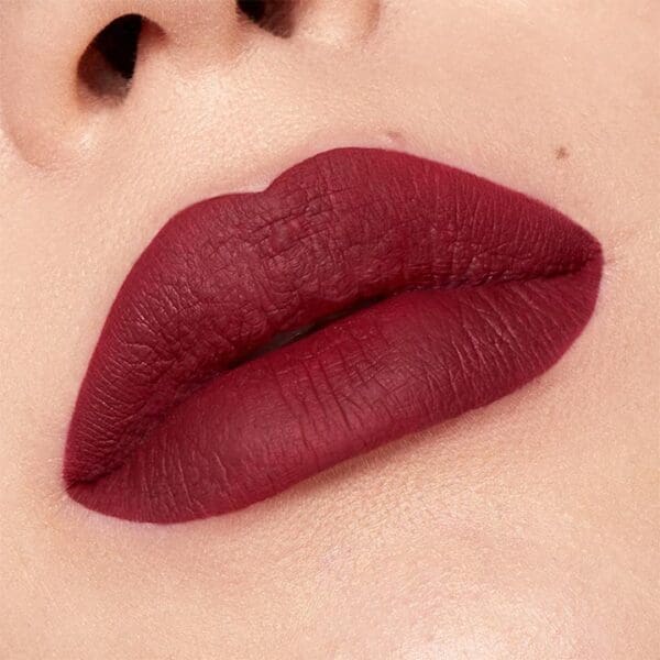 Matt Pro Ink Non-Transfer Liquid Lipstick-lips