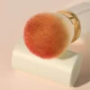 Telescopic Blush Brushbe